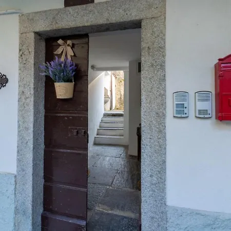 Loving Loppia - Glicine