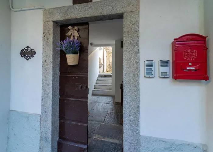 Loving Loppia - Glicine